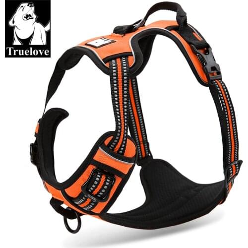 Dog Harness and Leash Set Dogs Accessoires Dog Vest Harness Dogs Puppy Dog Leash Pets Accessories Reflective Breakaway