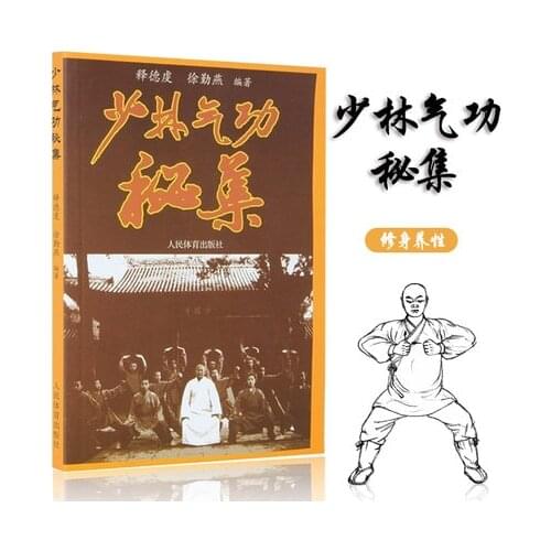 China Shaolin Temple Kung Fu Martial Art Practice Qigong Book in Chinese