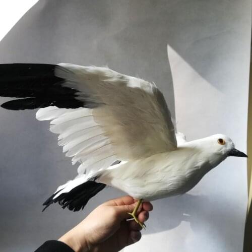 Real life Bird feathers seagull Bird large 35x60cm spreading wings seagull,garden decoration filming prop gift h1455