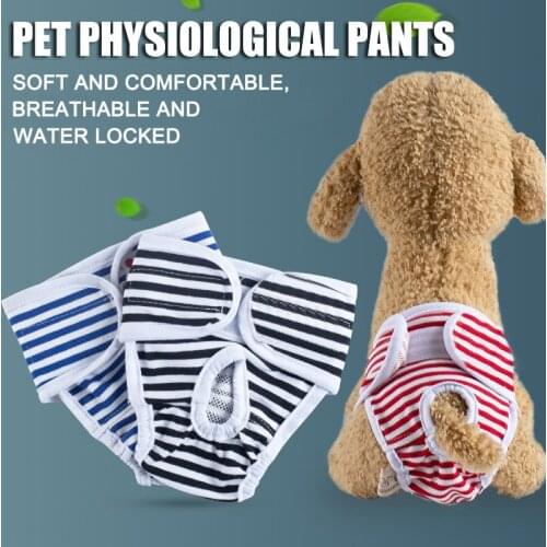 Female Pet Dog Reusable Sanitary Shorts Physiological Pants Menstruation Panties xqmg Litter & Housebreaking Dog Supplies Pet