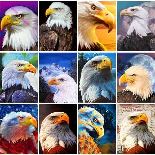 HUACAN 5D Diamond Painting Kit Eagle Diamond Embroidery Cross Stitch Animal Pictures Of Rhinestones Mosaic Craft Kit
