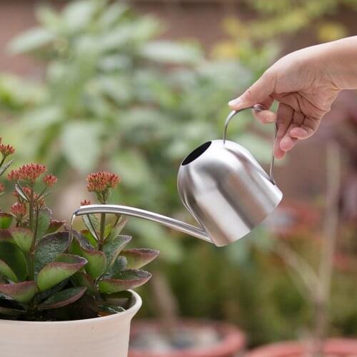 500ML Stainless Steel Watering Pot Gardening Potted Small Purling Can Indoor Succulent Long Water Flower Kettle Garden Supplies