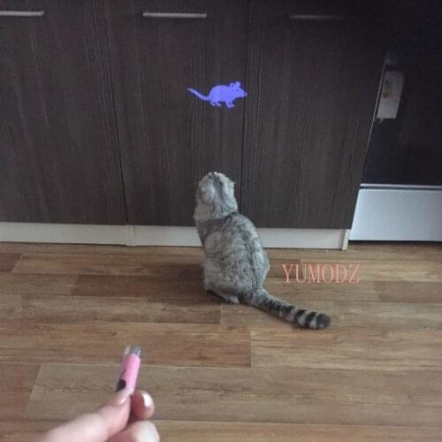 Amazingly Cat Toy Creative and Funny Pet Cat Toys LED Pointer light Pen With Bright Animation cat toys interactive pet products