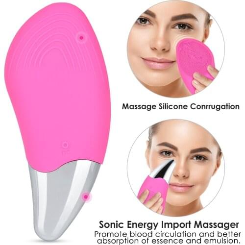 BOLUYIN Electric Face Brushes