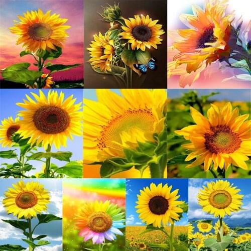 Full Square Drill Sunflower Series Diamond Paintings 5D DIY Decoration Creative Gift Diamond Painting Hanging Painting 40x50cm