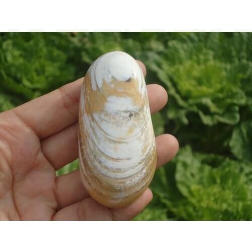 125g HOT ! ! ! NATURAL Red Agate QUARTZ CRYSTAL HEALING