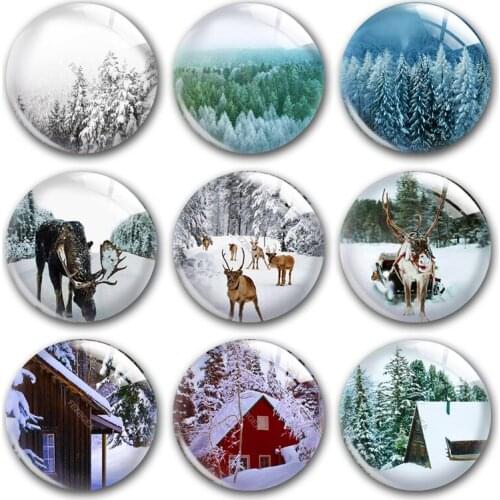 Handmade White Winter X-mas Wild Animals Snow Round Photo Glass Cabochons Demo Flat Back DIY Jewelry Making Findings Accessory