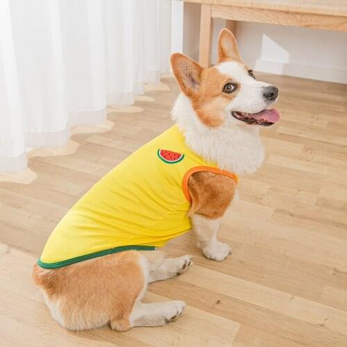 Clothes for Dog New Spring and Summer Corgi Dog Vest Mesh Breathable Two-legged Clothes Small and Medium-sized Dog Pet Clothes