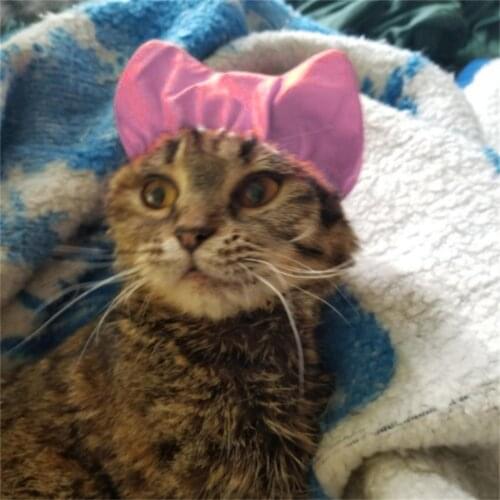 Pet Shower Cap For Dog Cat Bathing Anti-ear Water Hood Pet Grooming Supplies Pets Waterproof Cap Adjustable Ear Proof Bath Hat