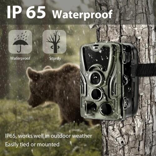 HC801A Hunting Trail Camera Night Version Wild Cameras 20MP 1080P IP65 Photo Trap 0.3s Trigger Wildlife Camera Surveillance