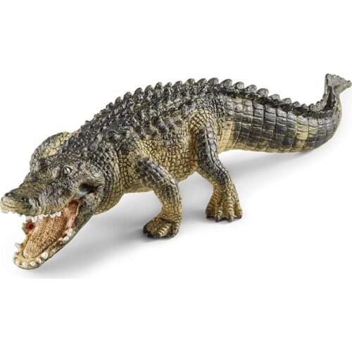 Original Genuine Wild Animals 19cm American alligator Crocodile Collectible Figurine Figure Toy Kids Gift
