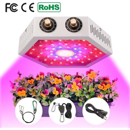 Speclux Professional Lighting