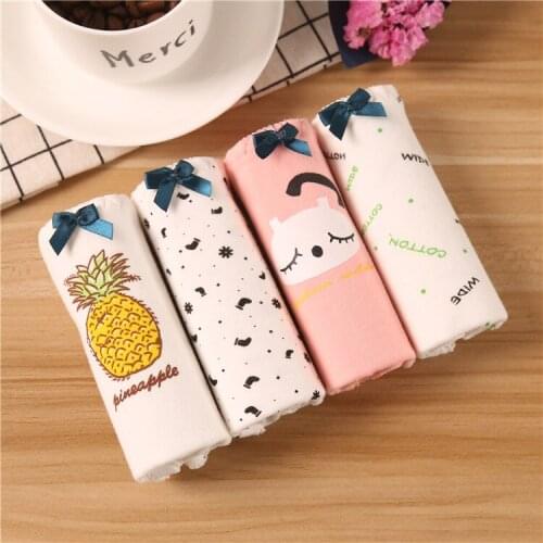New 4Pcs/lot Soft Cotton for Young Girl Briefs for Teenage Girls Panties Cartoon Printing Kids Underwear Pants Underpants 12-20T