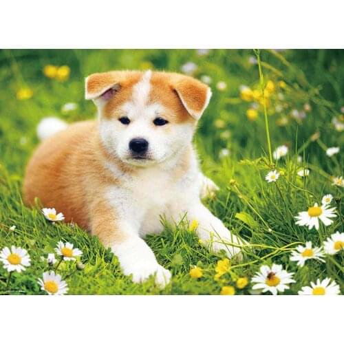 Jmine Div 5D Puppy Dog Flower Full Diamond Painting cross stitch kits art High Quality Animal 3D paint by diamonds