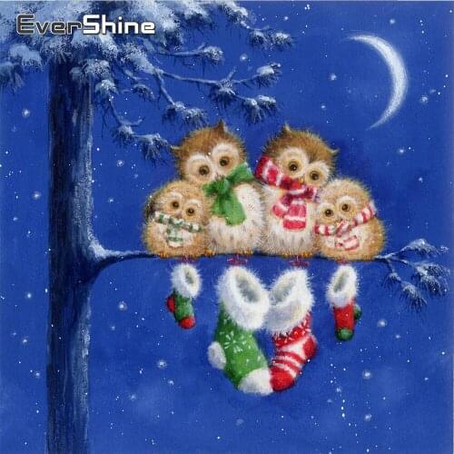 EverShine Diamond Mosaic Full Square Drill Cartoon New Arrival Diamond Painting Owl Needlework Rhinestone Pictures Wall Art
