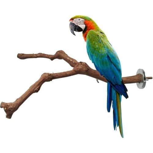 Creative Bird Toy Parrot Cage Hanging Standing Wood Pole Parakeet Bite Claw Grinding Toy Birds Cage Perches Supplies Accessories