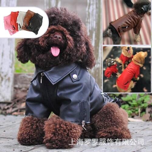 Dog clothes autumn and winter clothing leather jackets puppy leather jackets