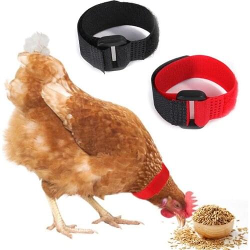 6 Pcs Adjustable Chicken Collars Durable Anti-Hook Noise Free Neckband for Poultry Hen Duck Rooster