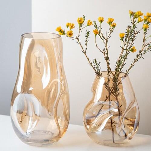 Irregular Simple Glass Vase Furnishings Nordic Living Room цдекор дома Dry Flower Transplanter For Fresh Flower Water Culture