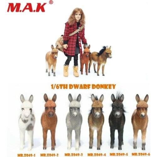 Mr.Z MRZ049 1/6 Simulation Animal Model Little Donkey For Collection In Stock For 12 Inch Action Figure Dolls