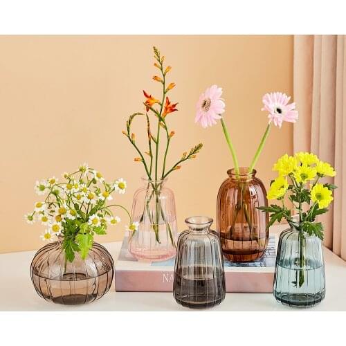 Glass Vase Living Room Dried Flowers Nordic Ins Style Glass Transparent Dill Home Decoration Accessories Flower Vases For Homes