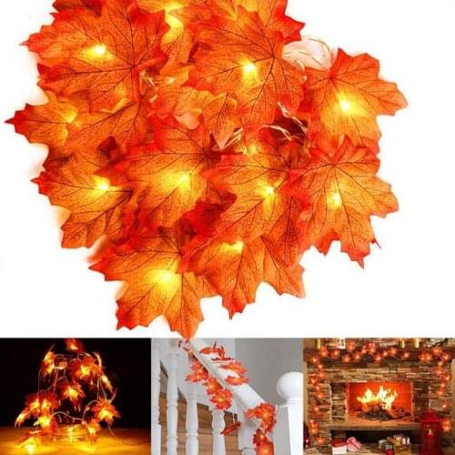 Светодиодные гирлянды Dreamminglighting China At AliExpress