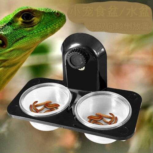 Reptile Dual Purpose Water Basin Food Basin Insect Spider Feeding Taiwan Beetle Vegetable Basin Spider Bread Insect Basin