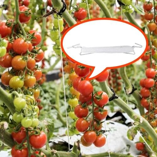 10pcs Plant Vegetable Hook Plant Growth Puller Hook Tomato Support Clips Vegetable Support Prevent Tomatoe From Pinching