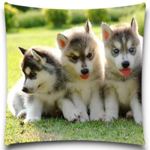 2016 Christmas Halloween Animal Decorative Cushion Covers Cotton Polyester Throw Pillow Case for Sofa Decor Dogs Pattern