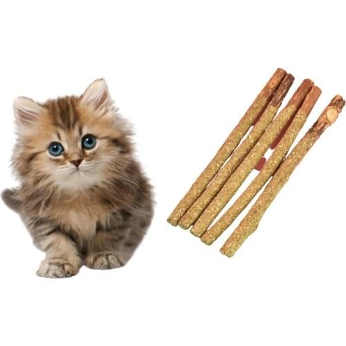 5pcs Home Pure Natural Pet Cat Snacks Sticks Cleaning Tooth Catnip Cat Toys Actinidia Pet Toy For Cats Tooth Cleaning Stick