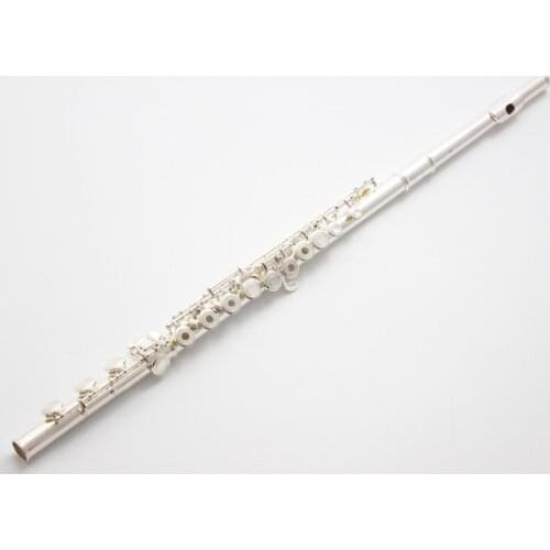 De Xin Flute 200 Series Silver Plated Flute Intermediate Student Flutes 211 212 221 222 261 262 271 272 281 282 B Leg 17 Holes