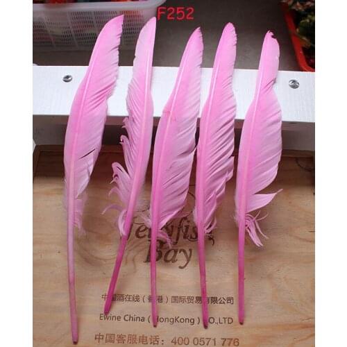 Wholesale 100pcs goose feather humpback 30-35cm/12-14inch /pink