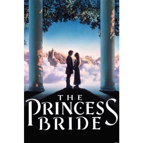 Lot style Choose The Princess Bride Movie Art print Silk poster Home Wall Decor