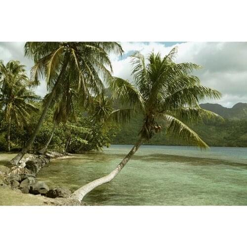 DIY French Polynesia Beach Palm Tree Diamond Painting Cross Stitch Full Diamond Embroidery Home Decoration GJ743