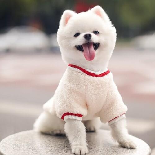 Winter Dog Clothes Thicken Warm Dog Clothing Outfit Cat Yorkshire Chihuahua Pomeranian Schnauzer Bichon Dog Hoodie Coat Dropship
