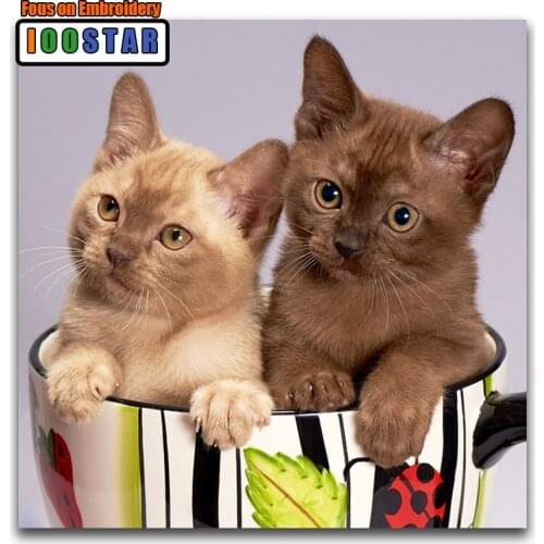 Full Round Diamond painting animal DIY 3D Diamond mosaic 2 Cat Full Square Diamond embroidery Cross stitch kitten