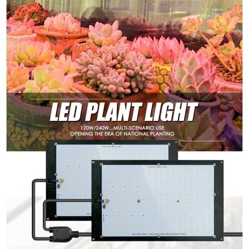 Super Bright 120W 240W Led Grow Light Board Full Spectrum Samsung LM301B SK 3000K 3500K 4000K 660nm Meanwell Driver DIY