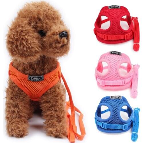 Hoopreety Animal Decorations