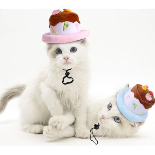 Dahomemon Hats For Dogs