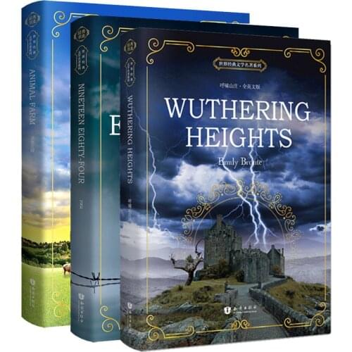 3 Books/set Original Novel World Famous English Reading Literature Books Montessori Educational Famous Story In English Books