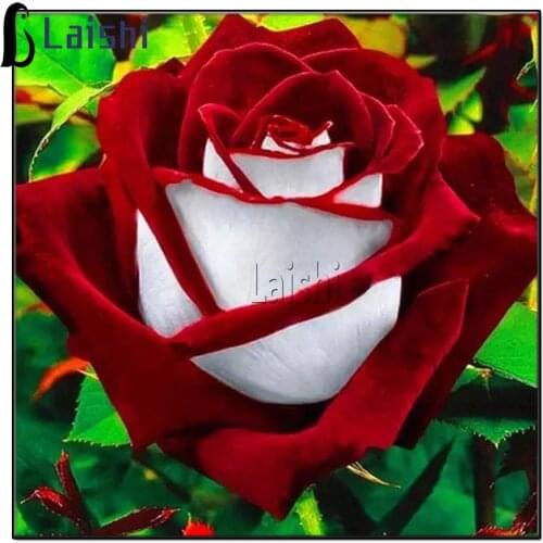 New hot DIY diamond painting red rose full square round diamond cross stitch printing home furnishings mural decoration gift