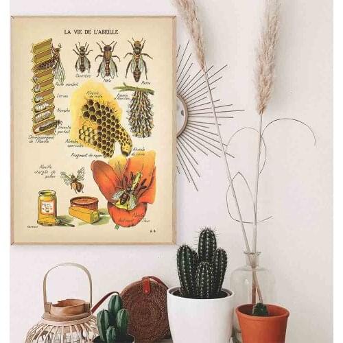 Antique Bees Prints Natural Poster Insects Vintage French Honey On Wall Art Canvas Painting Sepia Toned Kitchen Diagram Decor