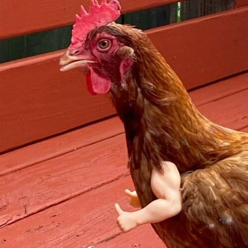 Thumbs Up Chicken Arms Toy Gag Gift Wearing Artificial Dinosaur Arms Props Pet Themed Party Funny Bird Decor Pet Supplies