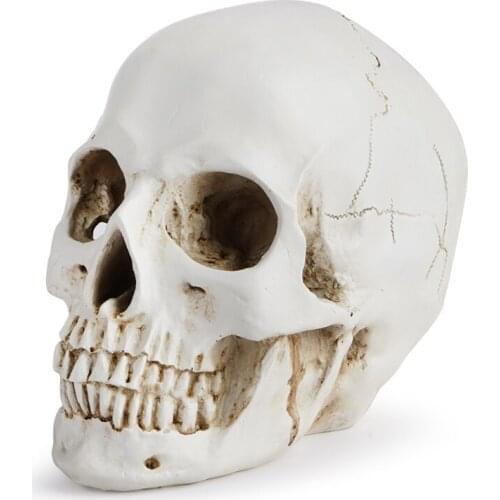 1:1 Human Head Skull Statue for Home Decor Resin Figurines Halloween Decoration Sculpture Medical Teaching Sketch Model Crafts