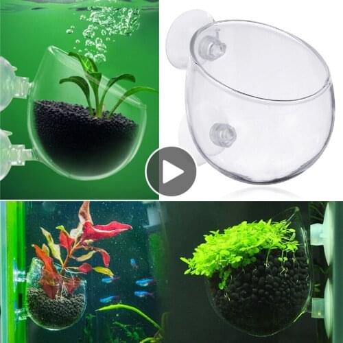 Aquatic Plant Crystal Glass Pot for Aquascaping Fish Tank Holder Potted Planting Cylinder Cup Aquarium Accessories