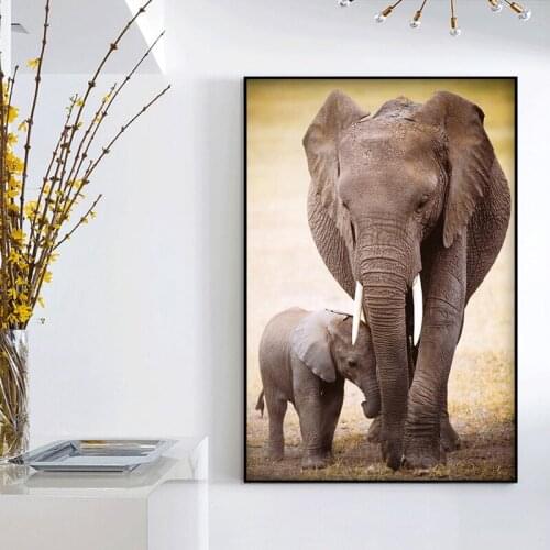 DIY digital painting elephant grassland animal painting art decorative painting adult hand-painted decompression painting