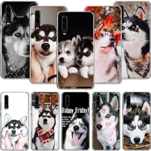 Siberian Husky Dog Phone Case For Huawei P30 P40 P20 P10 Mate 20 10 30 Lite Pro P Smart Z Plus Printing Cover Coque Shell
