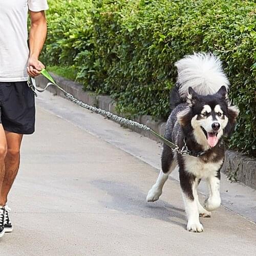 Hands Free Dog Leash with Dual-Handle Reflective Bungee,Adjustable Waist Belt, Shock Absorbing, Ideal for Medium to Large Dogs