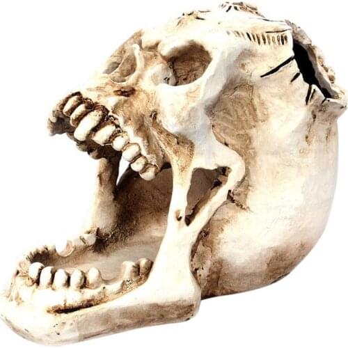 1PC Gothic Realistic Eerie Decorative Skull Model Desktop Decoration Home Crafts Resin Ornaments Halloween Decor