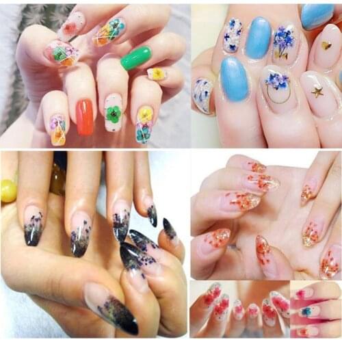 Mixed Natural Dried Flowers Nail Stickers Nail Decoration DIY 3D Nail Art Design Polish Manicure Accessories Nail Art Decoration